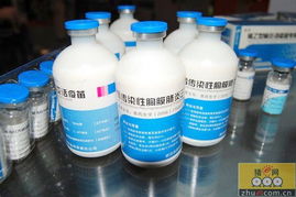 2009中国畜牧业暨饲料工业展览会 行业盛会与前沿趋势